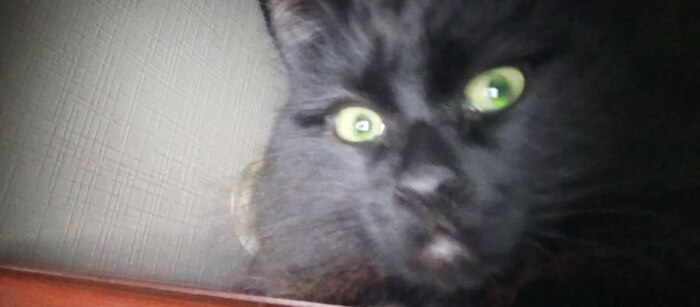 �� ������ ���� ����