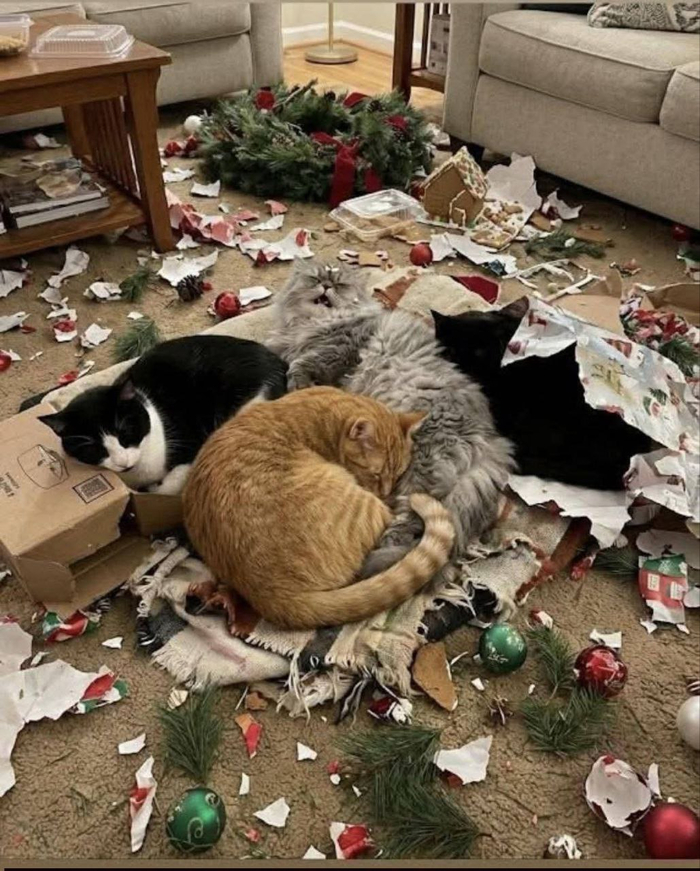 � ����� ���� �� �����, ��� �� ������!