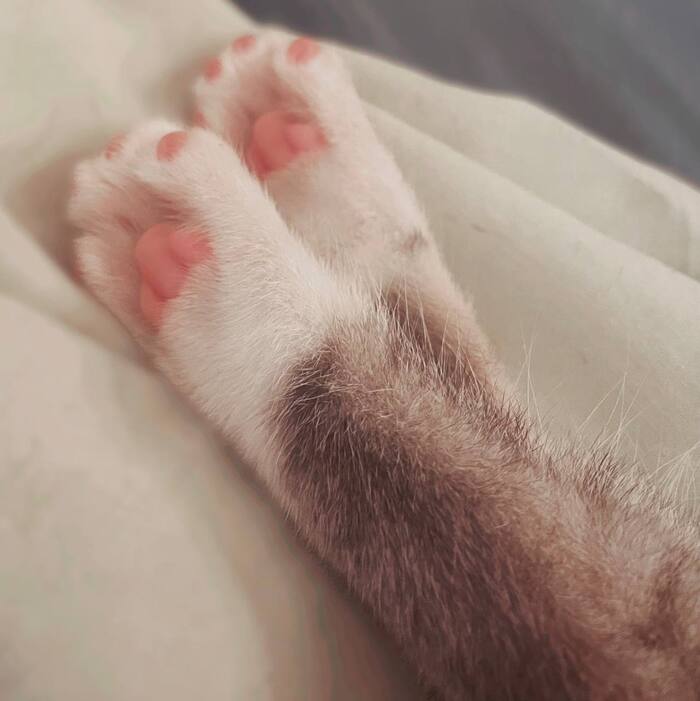 ����� ��������. ����� �� ��������?