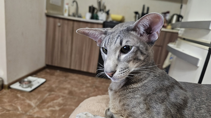 "������, �� ������?!"