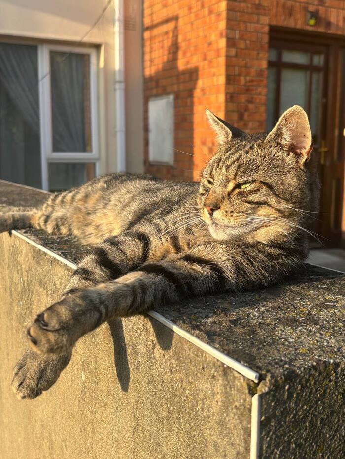 ��� ������ ���������� ���� � ���� ����