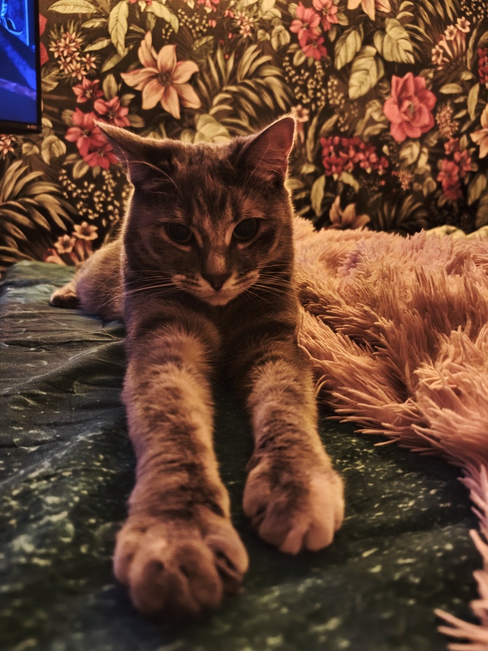 ����� �� ���� ���������� ���������. �� ����� ����������