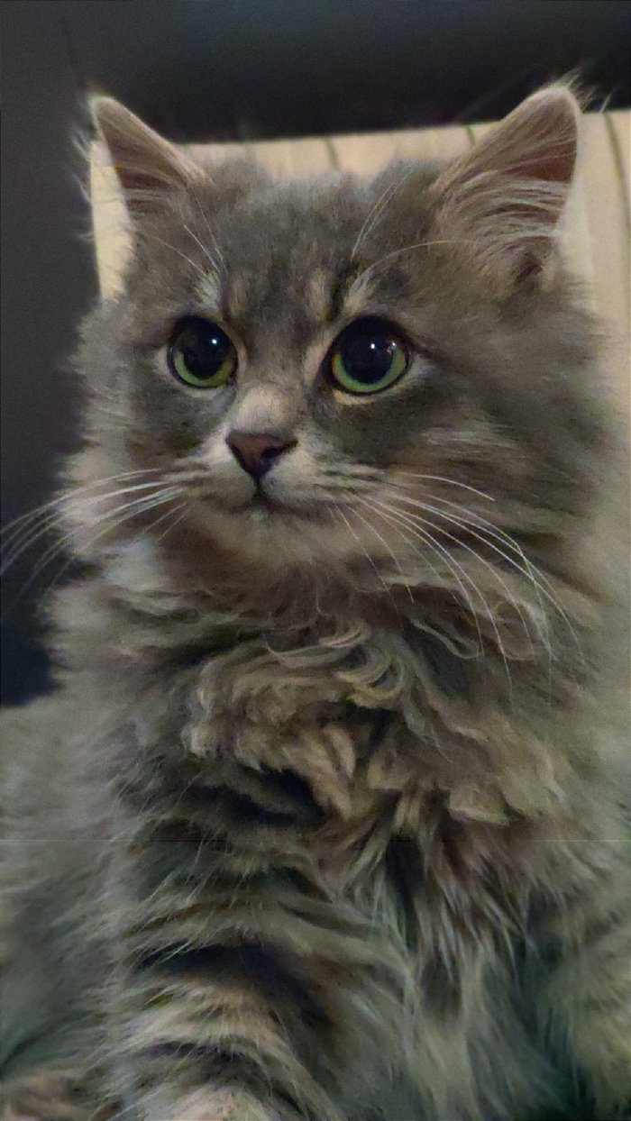 �� ������ ���� ����