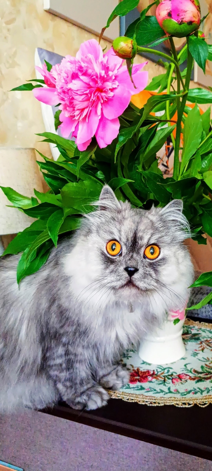 ������ ���� �����