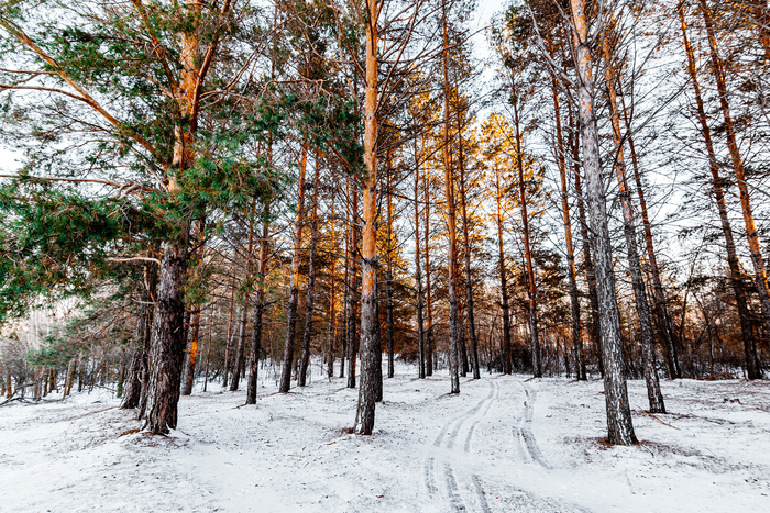 ���������� �� ������