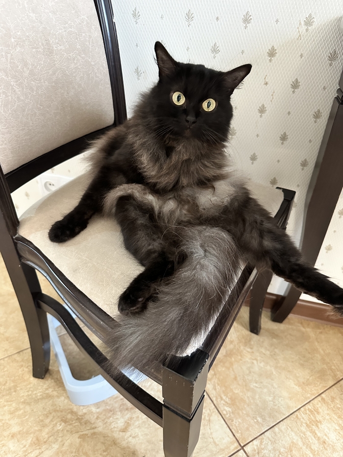 ������ ���������� ���� �����)