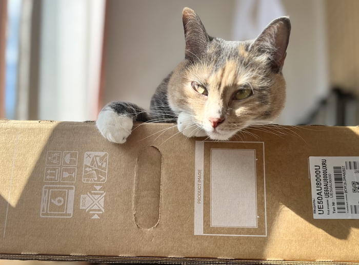 ������ ���� ���� �����