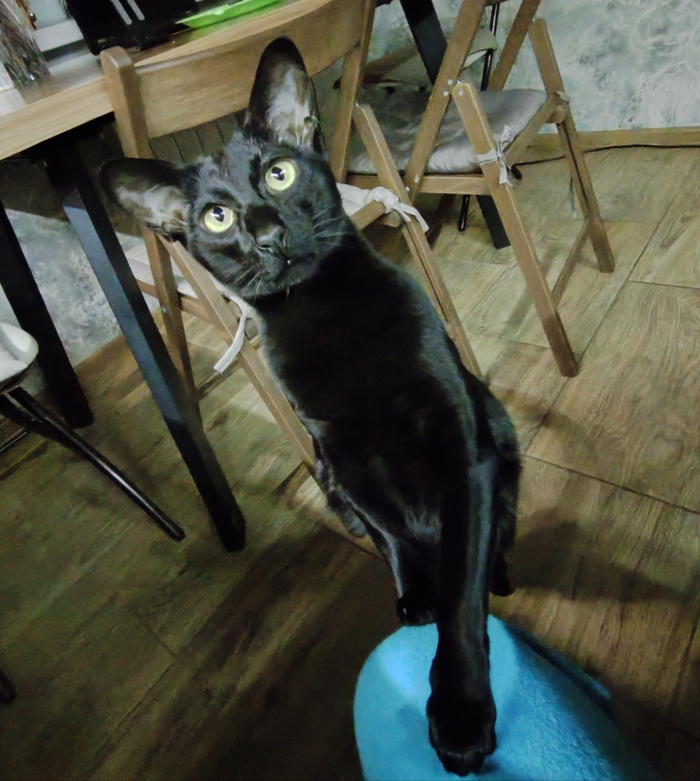 ����� ���� ������ �������� �� ������������������� ����������