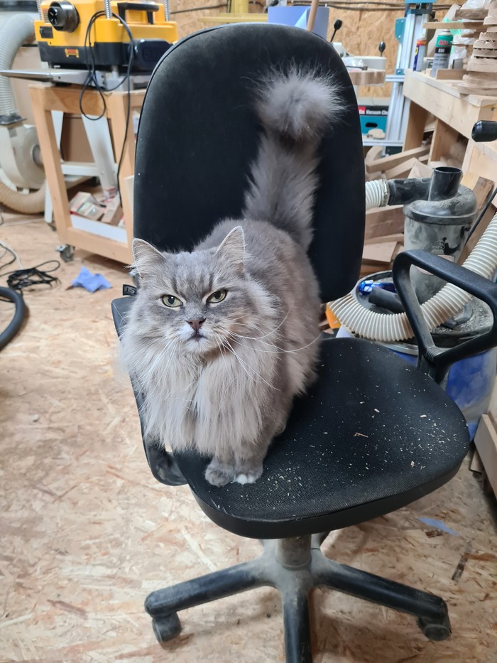 прогнала и позирует