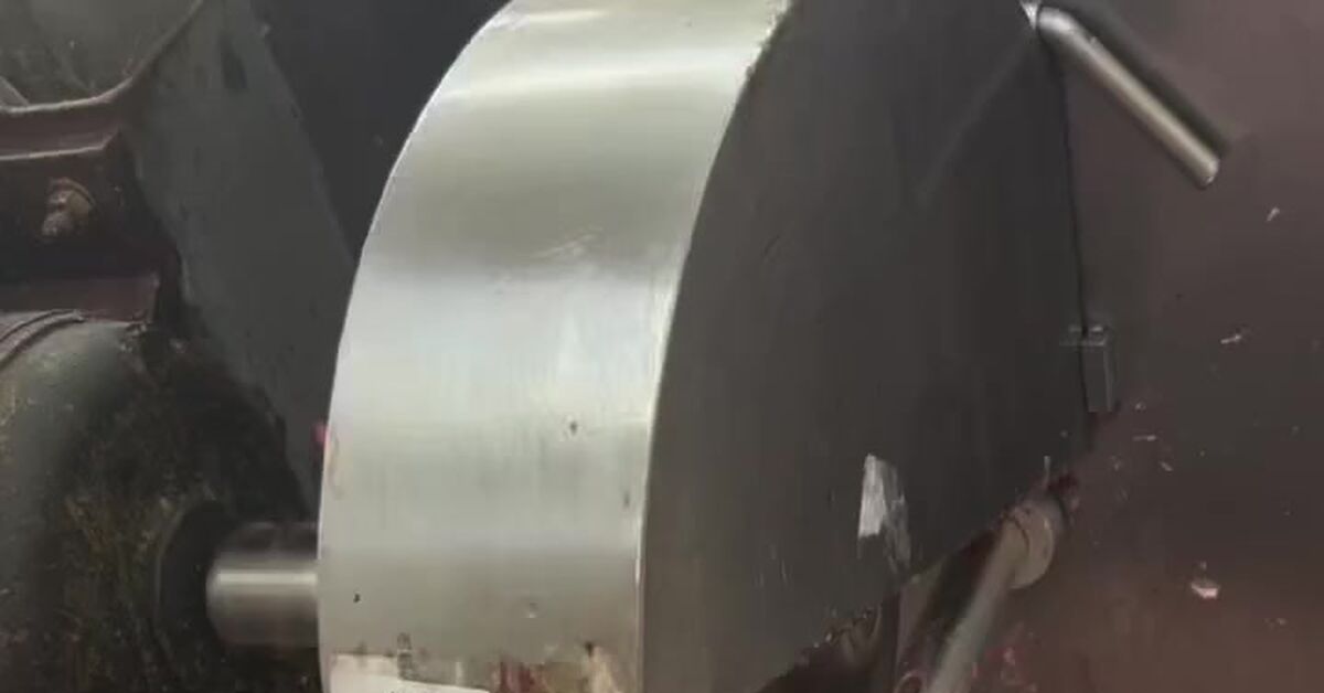 Looks safe - Vertical video, Hen, Butchering, Work, Video, Short videos