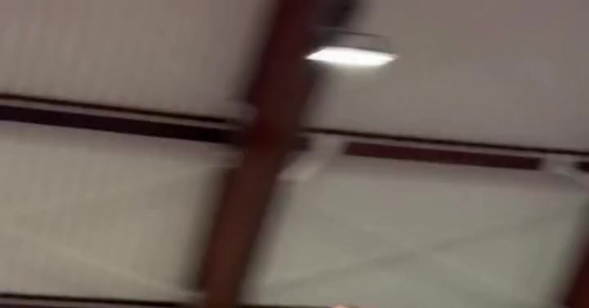 Well, almost perfect! - Vertical video, Humor, Freshness, Video, Short videos