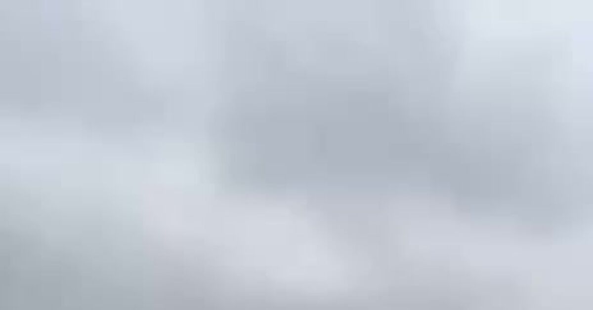 Freight transport in 2025 - Humor, Tanks, Cargo, War, Video, Vertical video, Short videos