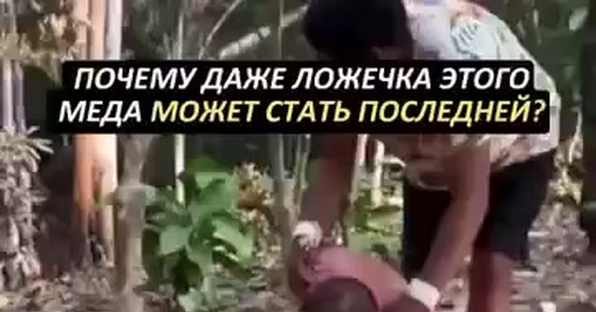 These are the wrong bees and the wrong honey. - Short videos, Vertical video, Suddenly, One-word subtitles, Bees, Honey, Video