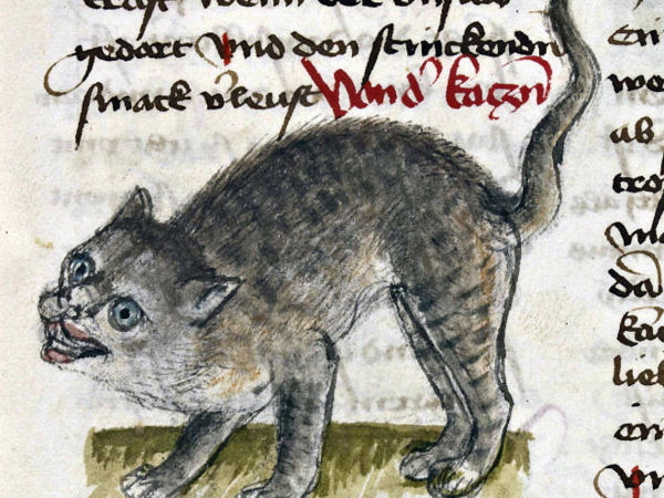 Оцените схожесть от 1 до 10