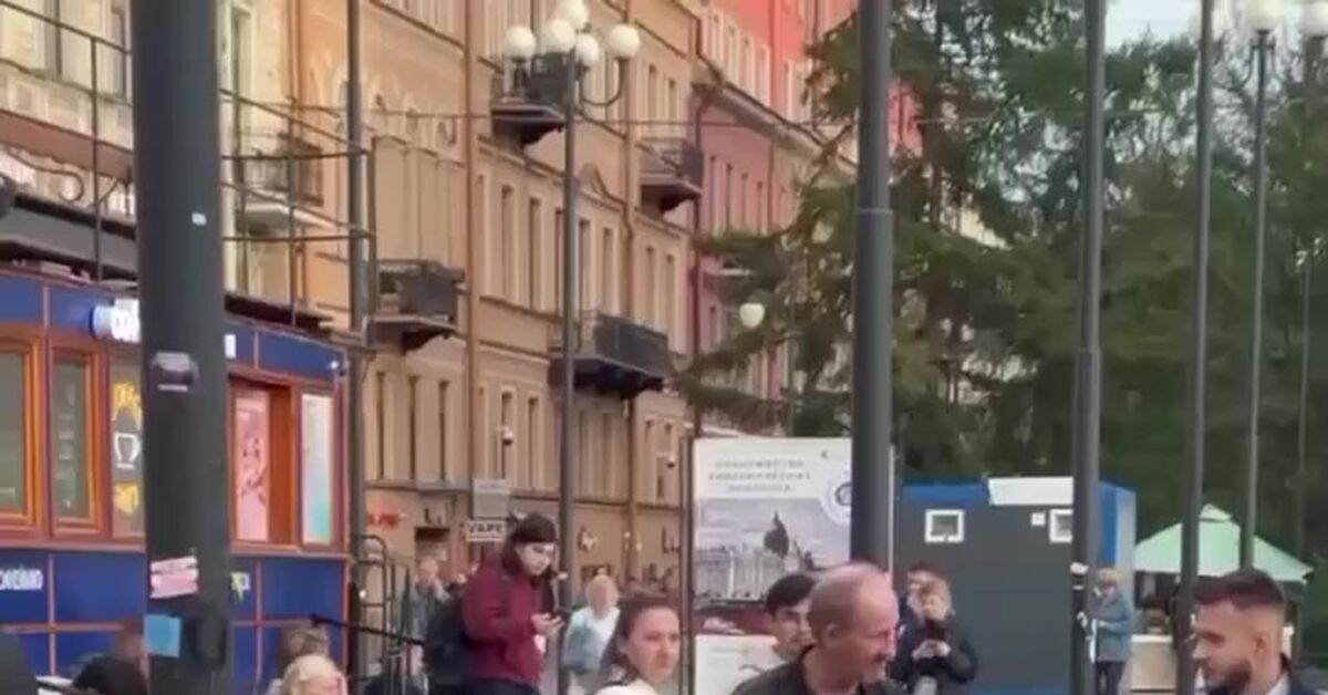 Street musician's assistant - Dog, Street musicians, Milota, Cap, Help, Video, Vertical video, Short videos, Advertising, Referral link