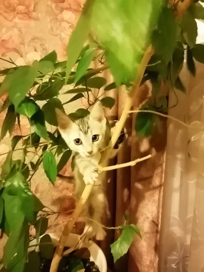 ����� �� ���� ���� ������ ���������� ���� ^_^�