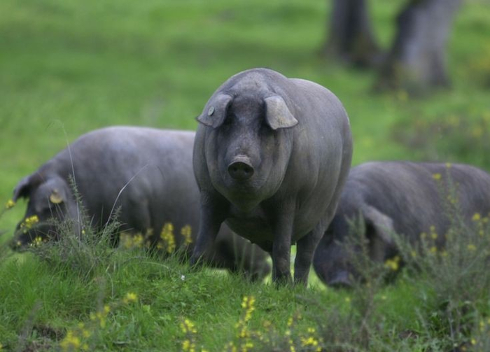 ��������� ������