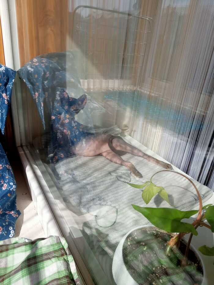 �� (�����) ������ ���� �����