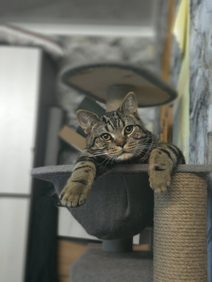 �������������� �����������