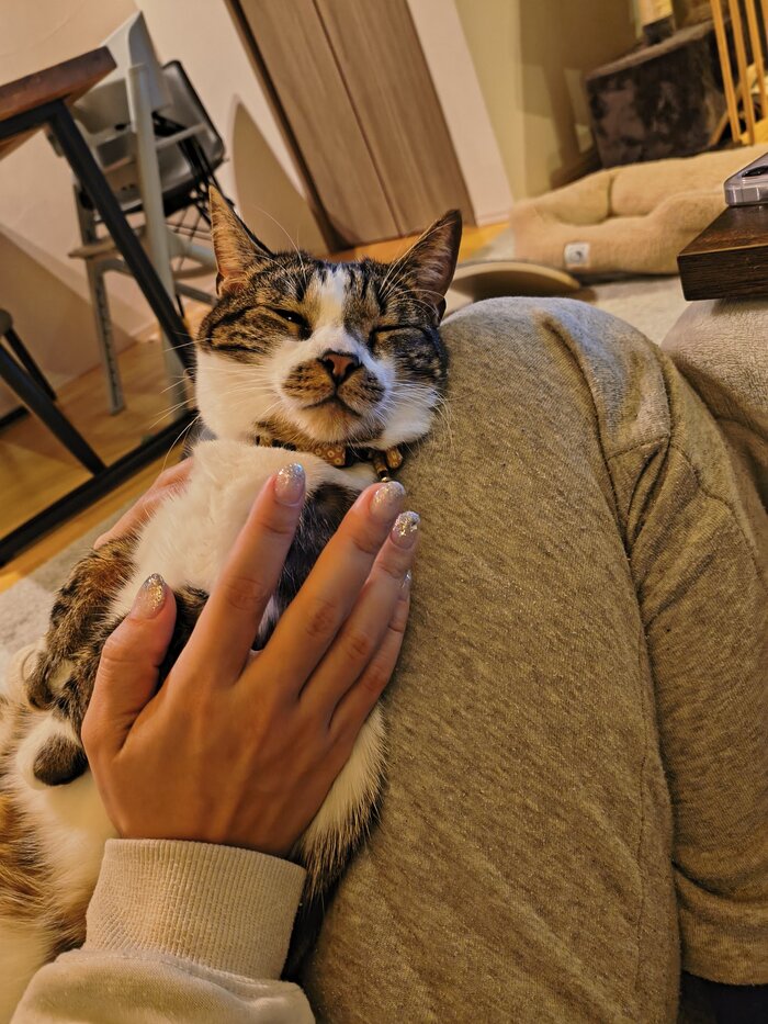 <!--noindex--><a href="https://pikabu.ru/story/teplota_13521437?u=https%3A%2F%2Fx.com%2Ftakezousususu%2Fstatus%2F2002303459282837712&t=https%3A%2F%2Fx.com%2Ftakezousususu%2Fstatus%2F2002303459282837712&h=b13bffa5b5f7f457f7aa25d1529a9bc8eda2ed4c" title="https://x.com/takezousususu/status/2002303459282837712" target="_blank" rel="nofollow noopener">https://x.com/takezousususu/status/2002303459282837712</a><!--/noindex-->