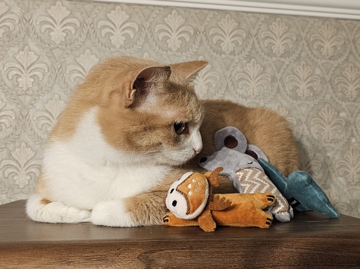 �������� ����� � ����� �� ����, ����� ��� ������� ���� ����� ������� (� ����� �� �� ����� ������)