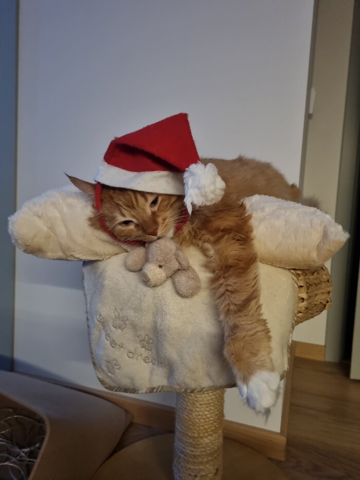 ��������������!