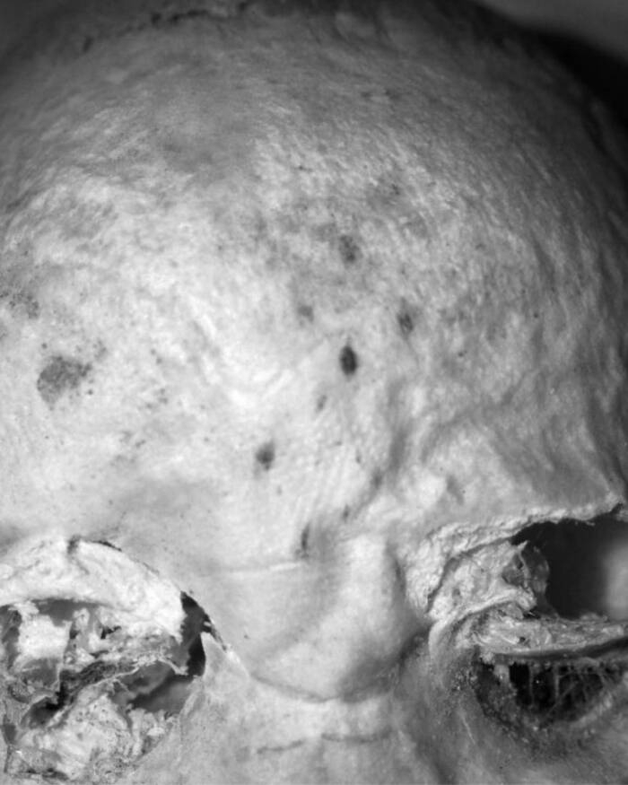 ��� �������� ���������� �� ��� ����� 3-������ ������� � ������������ ���������