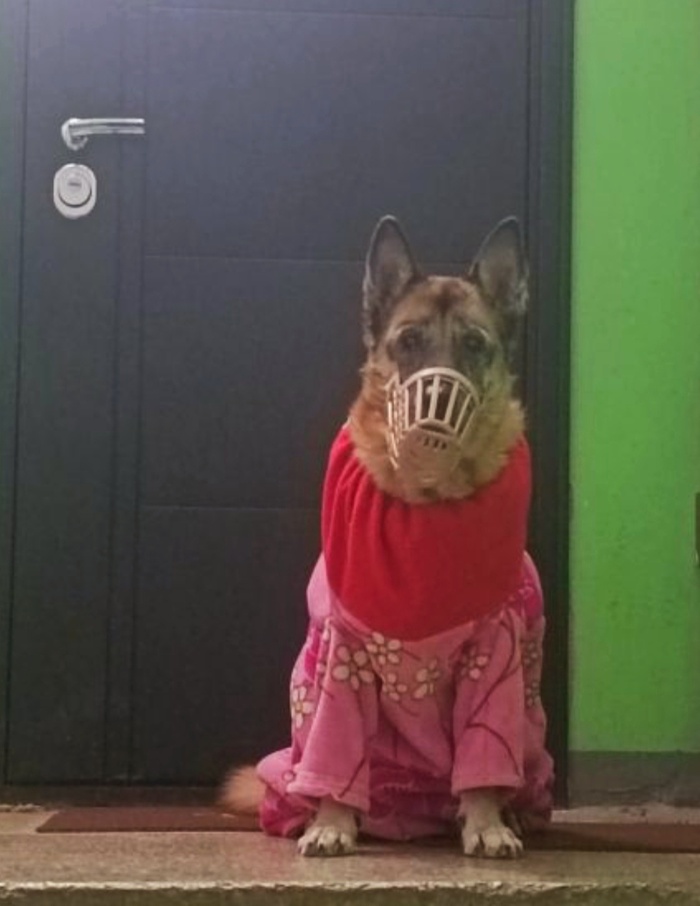 За бортом -30, к прогулке готова!