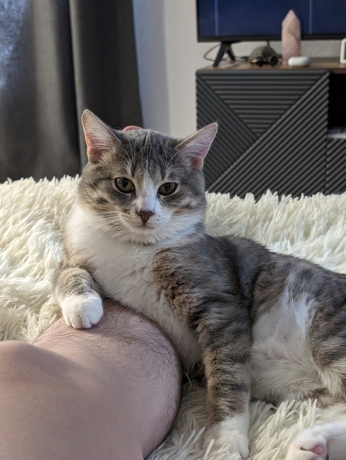 ����� �� ���� ���� ������ ���������� ����