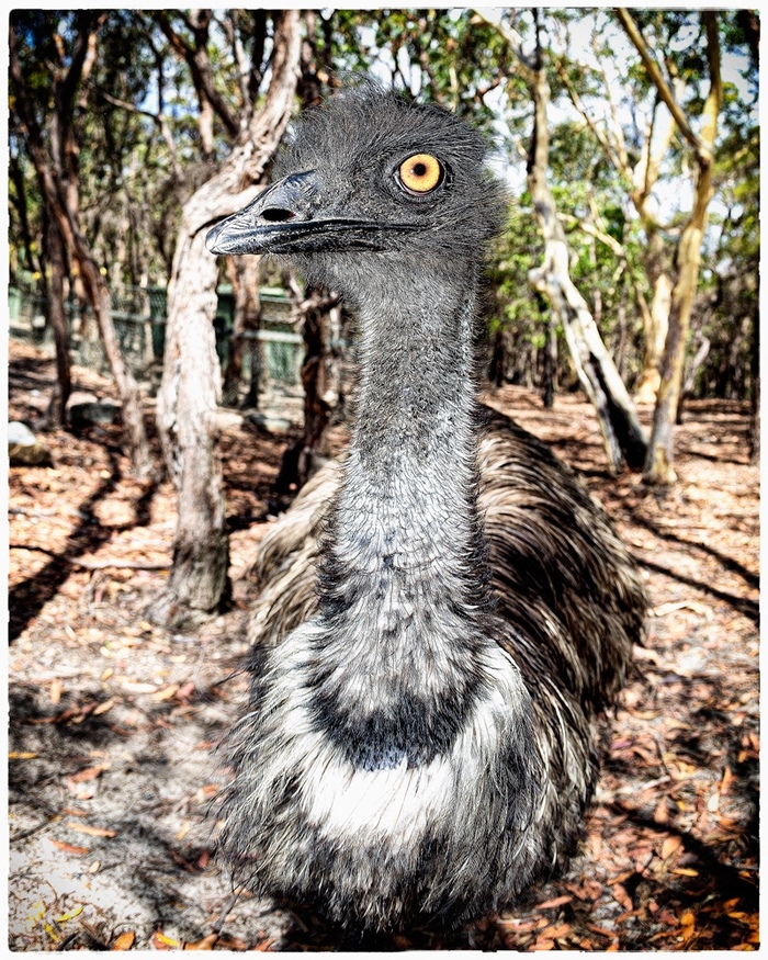 ����� �� ���� ���� ������ ���������� ������. � �� ��� ����, ����... ����-154 � ����� �����...�