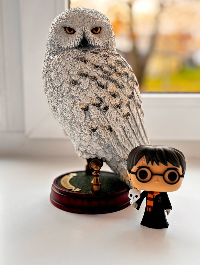 ��������� ���� ����� (������)