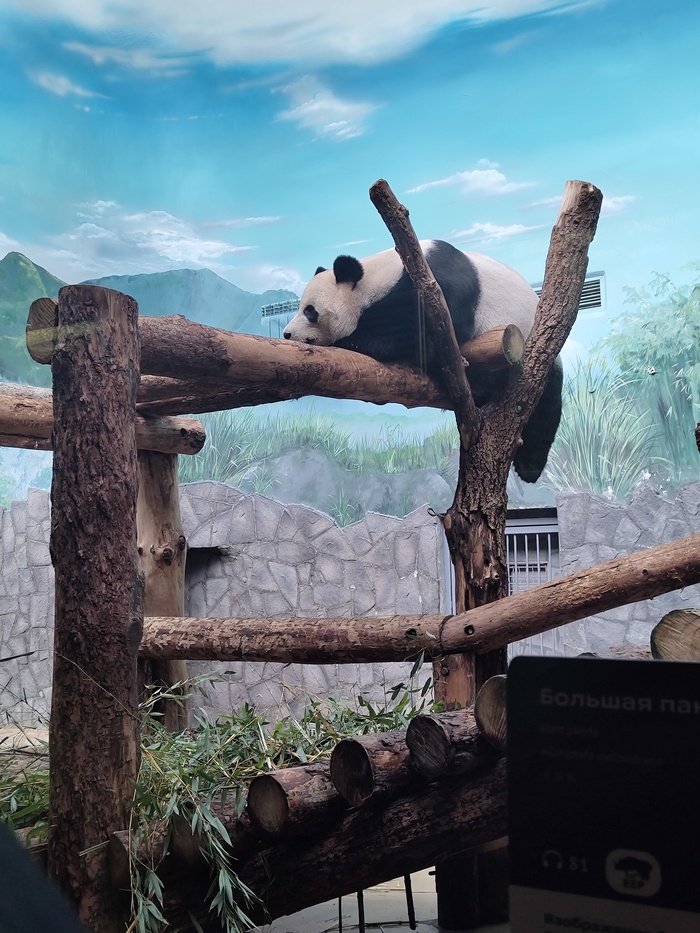 ����� WizardOfAus � ���� ������ ���������� ������. � �� ��� ����, ����... ����-154 � ����� �����...�