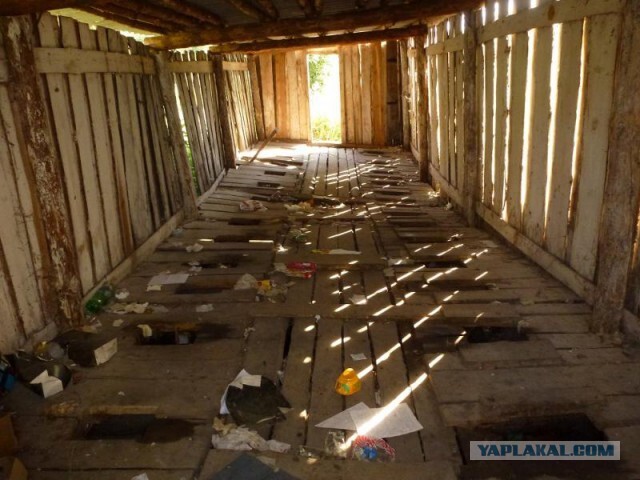 ���� ��������� �� ���������