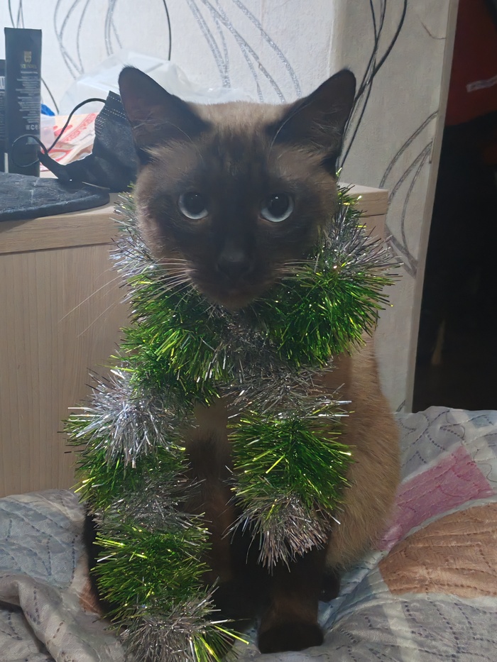 � �����������!