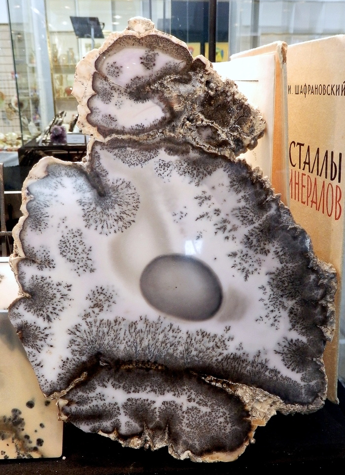 "������� ����" (��������� ��������). ������������� �������� (�������), ���������. ���� ������, �������� "��� �����"