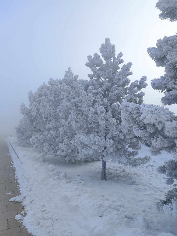 ����� �� ������� � ��������� ����������� ��������. ��� ����� �������� ������ �� �����.