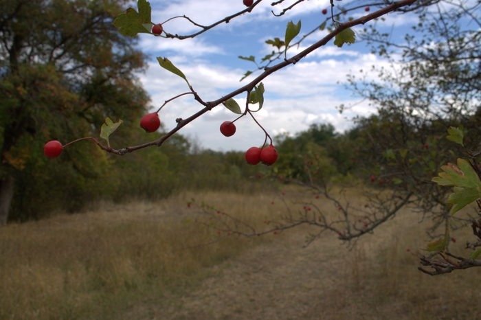 ���� �� ��� �����.