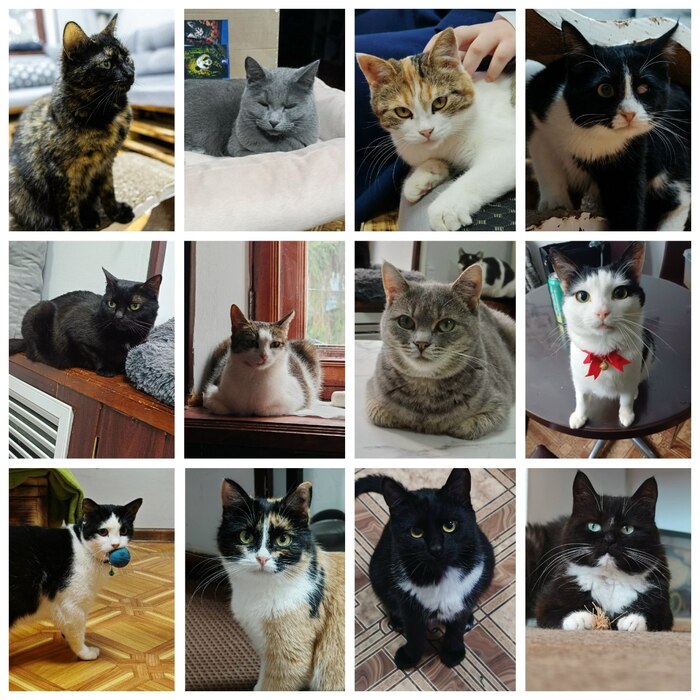 12 ����� "���������" ��-�������� ���� ����� ����� ��� ����������