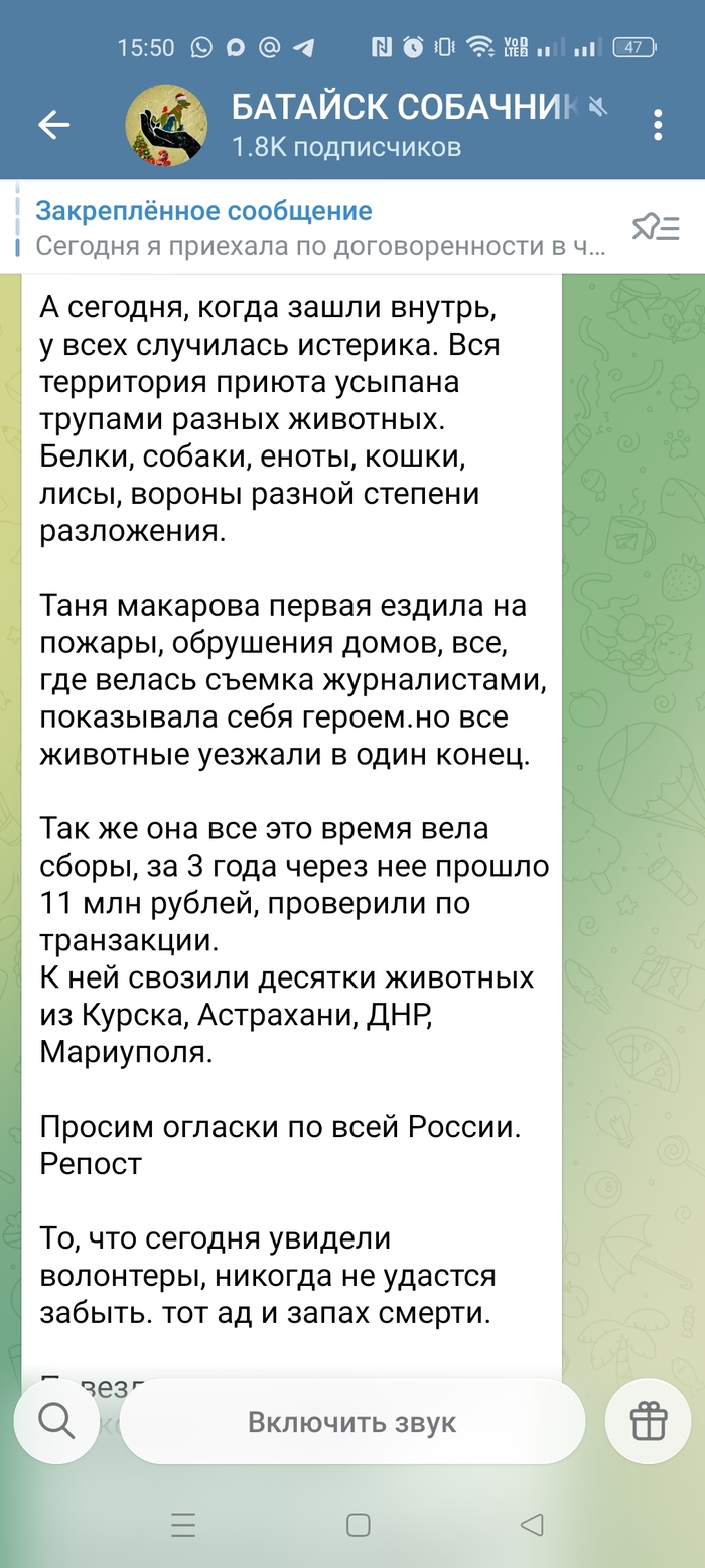 �� ���� ����������