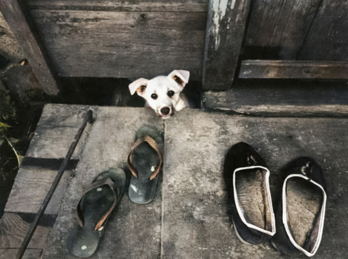 ��������: �������� ������