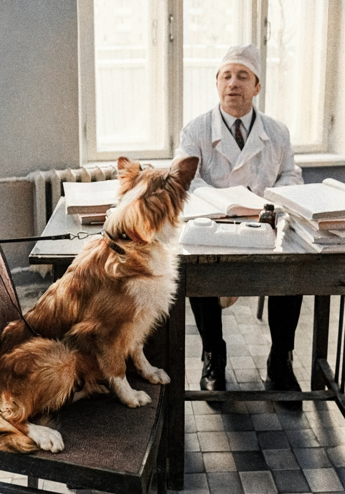 ��������: �. ������.