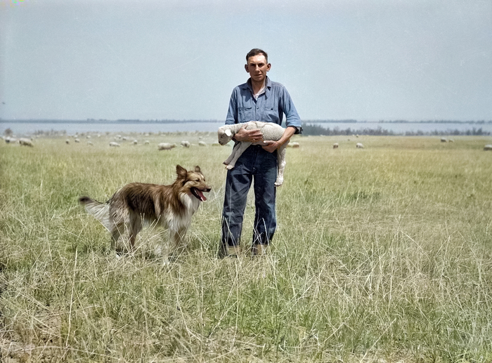 ��������: ����� ��������.