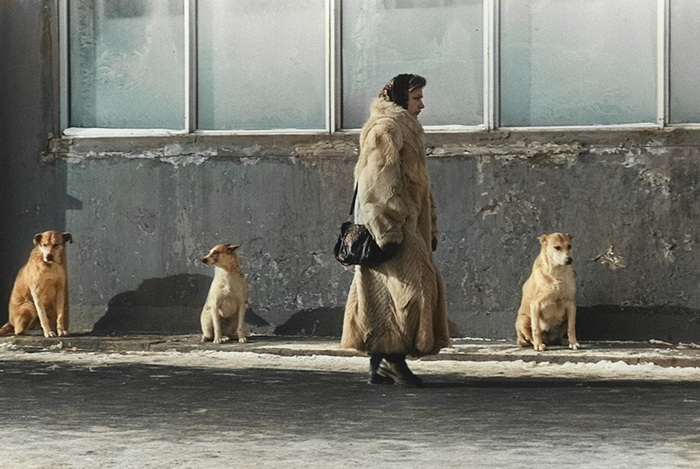 ��������: �������� ��������