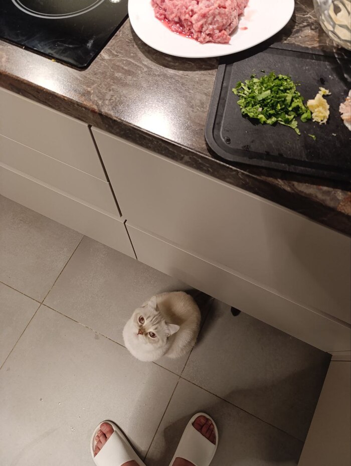 �� � ��� ������ ����� ����������