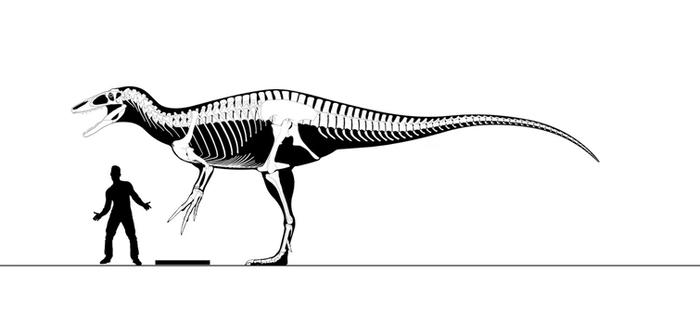 ������ �����