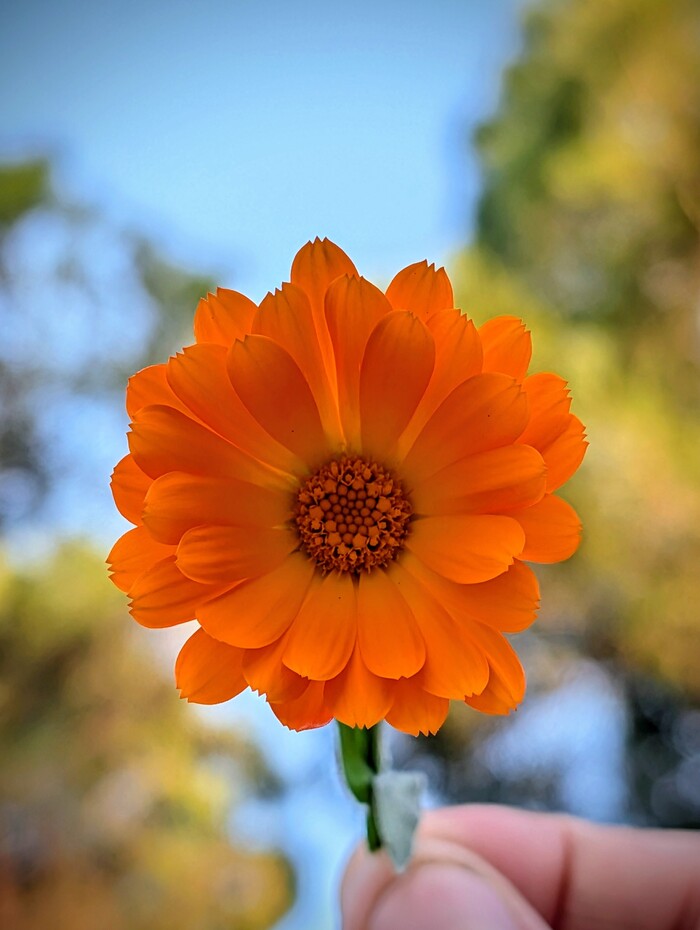 Da quando siamo insieme e' rifiorita...