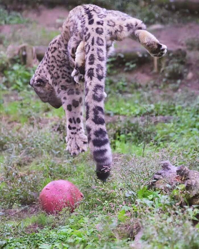 ����� "���������� �������" �������� �����������