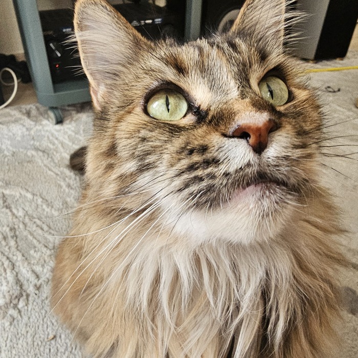 ���������)