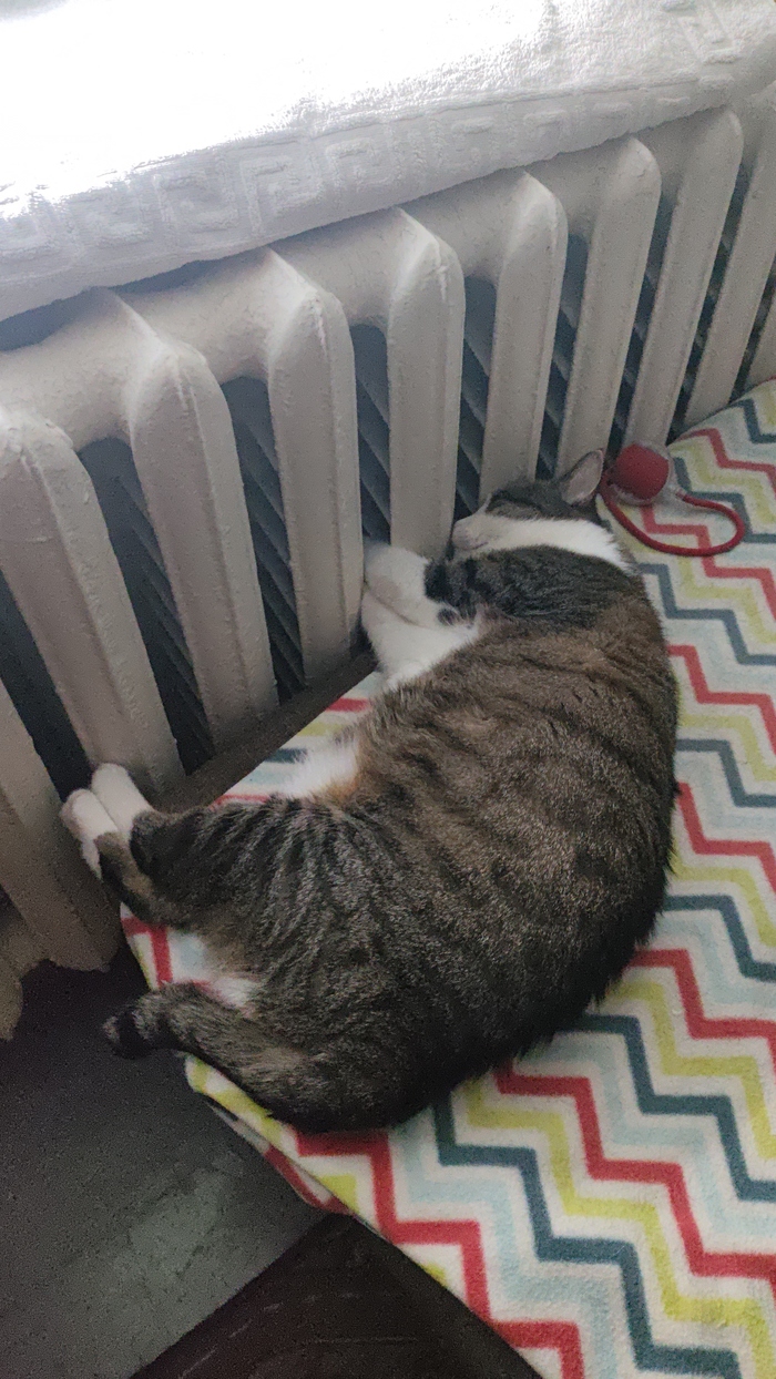 ���� ���, �� � �������� �����.