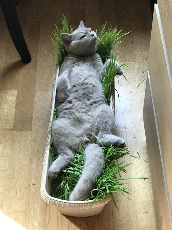 �� �������������...